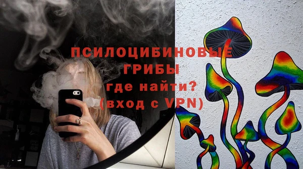 шишки Баксан