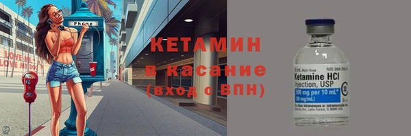 сатива Балахна