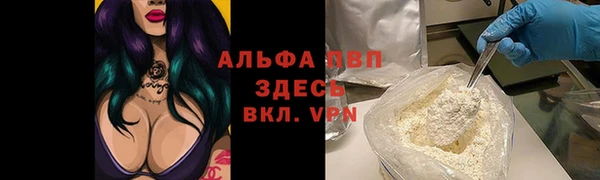 крисы Белоозёрский