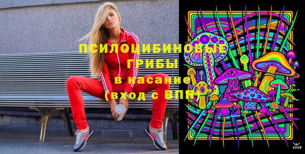 крисы Белоозёрский