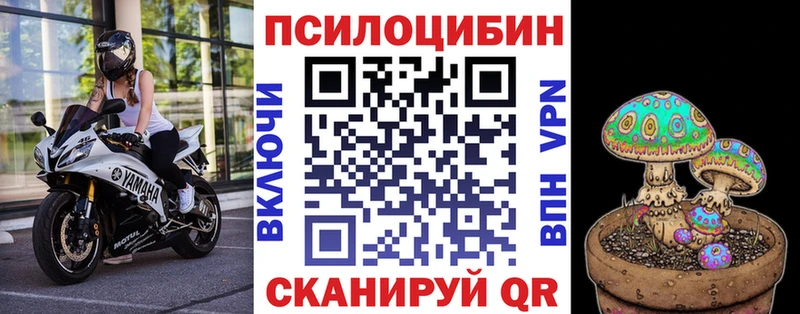 Галлюциногенные грибы прущие грибы  Купить закладки  Анива 